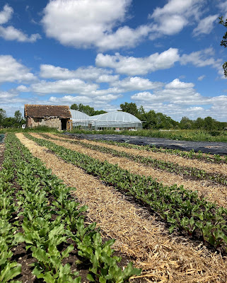 Aux jardins du Bosc à Le Bosc-Renoult
