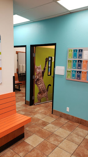 Pet Supply Store «PetSmart», reviews and photos, 5214 Blanche Moore Dr, Corpus Christi, TX 78411, USA