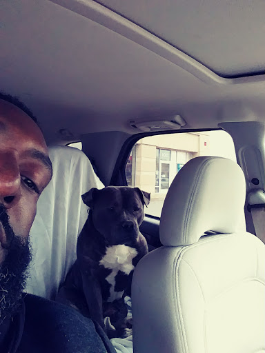 Pet Supply Store «Pet Supplies Plus», reviews and photos, 1213 Mentor Ave, Painesville, OH 44077, USA