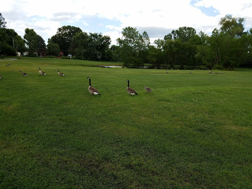 Golf Course «Indian Mounds Golf Course», reviews and photos, 3500 Kingshighway, East St Louis, IL 62201, USA