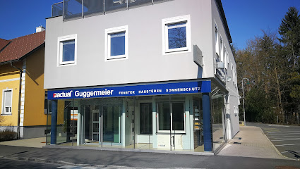 Hans Guggermeier Actual Fenster