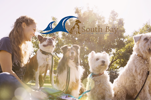 South Bay Veterinary Hospital image