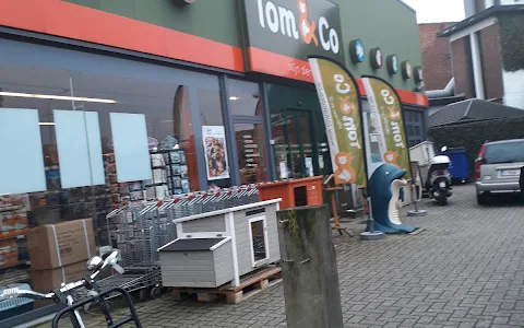 Tom&Co Schoten image