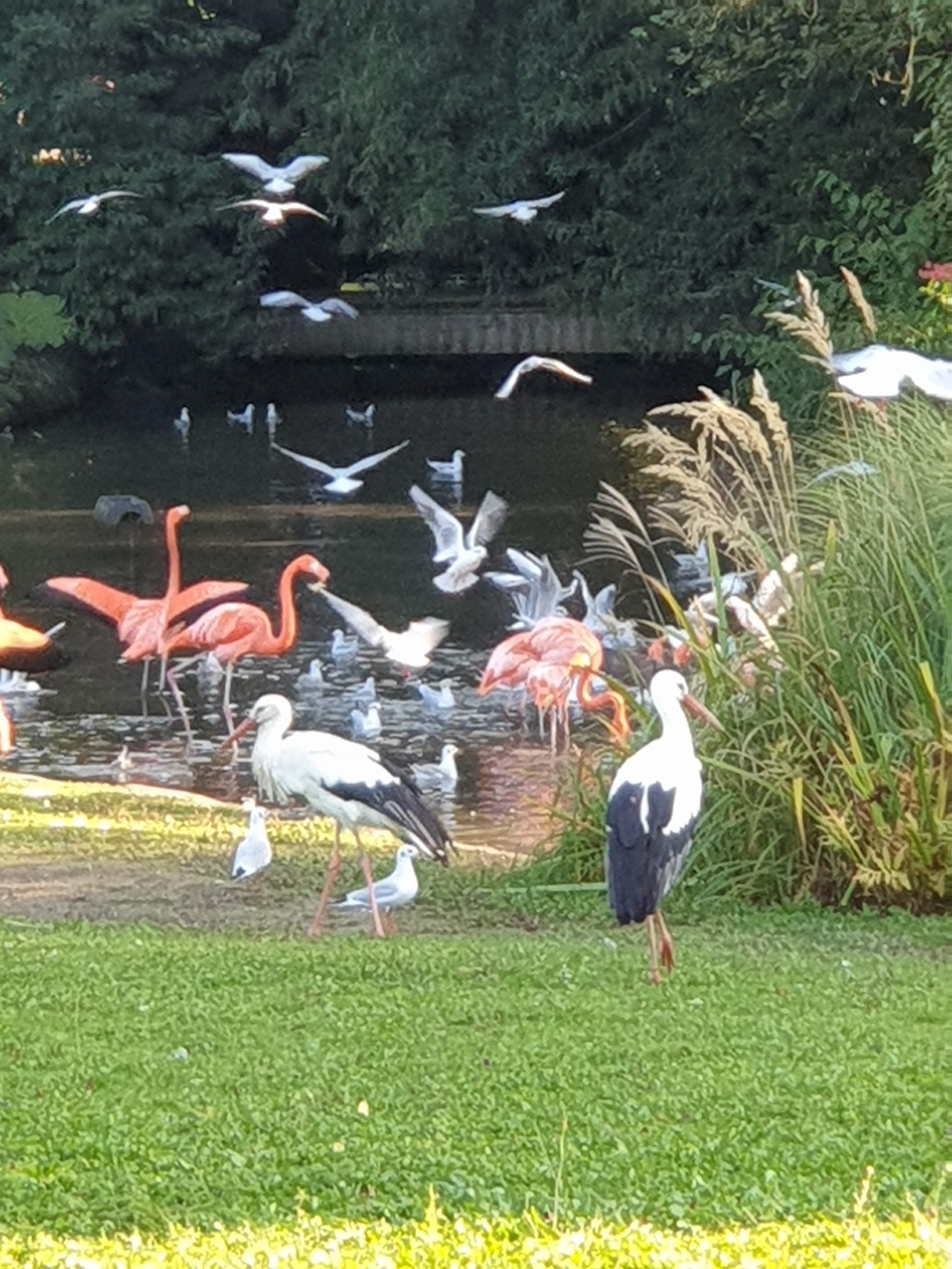 Photo n° 1 de l'avis de Emmanuèle.n fait le 26/10/2021 à 14:18