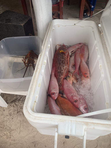 Pescaderias en Punta Cana