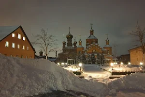 Pokrovsky Holosiivsky Monastery image