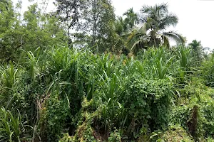 Valiyakulam pond image