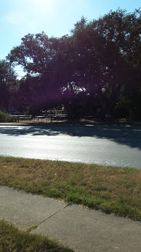 Coffee Shop «Radio», reviews and photos, 4204 Manchaca Rd, Austin, TX 78704, USA