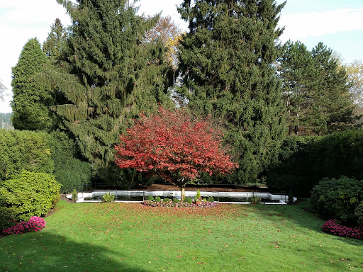 Winery «Chateau Ste. Michelle Winery», reviews and photos, 14111 NE 145th St, Woodinville, WA 98072, USA