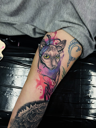 Explore tattoo half sleeve ideas tribal, creative tattoo ideas in Fort Myers, available at Loyal 2 The Coil Tattoos & Piercings (Edison Mall Location Entrance F)