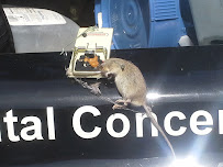 Van-Cal Pest Solutions LLC - Photo 9 - Car repair in , Baltimore