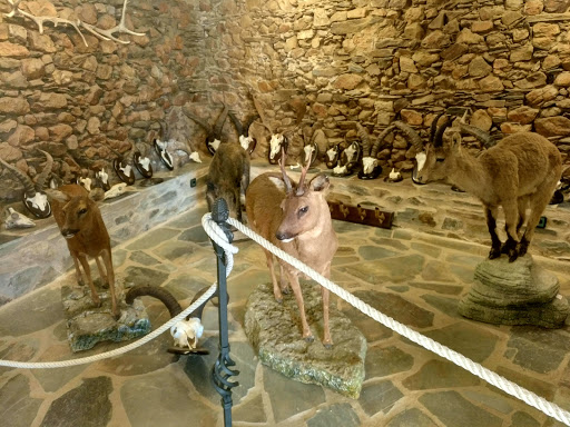 Información y opiniones sobre Bar Luna de Monsagro