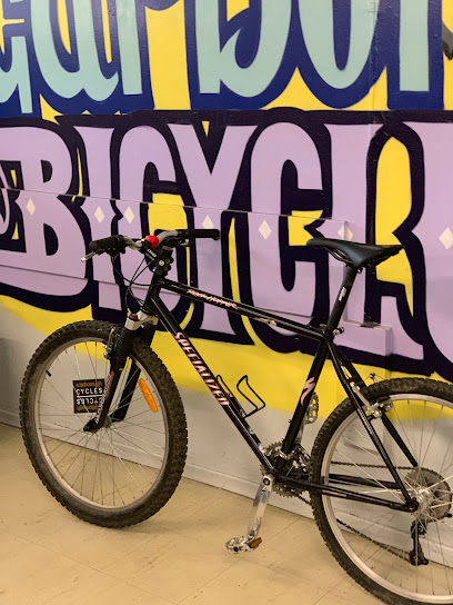 Lawrence-Orton Bicycle Repair Hub
