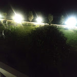 Photo n°1 de l'avis de Nica.i fait le 01/06/2022 à 22:57 sur le  Bella Addormentata à Spoltore