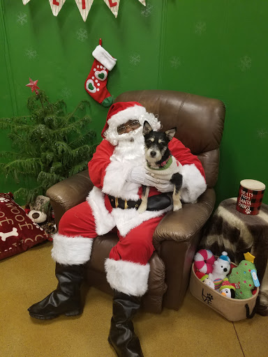 Pet Supply Store «PetSmart», reviews and photos, 5241 Monroe St, Toledo, OH 43623, USA