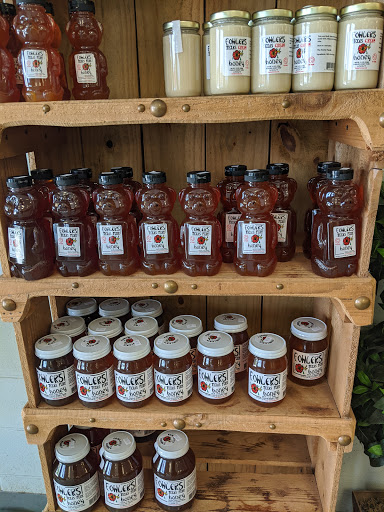 Butcher Shop «Penshorn Meat Market», reviews and photos, 113 W San Antonio St, Marion, TX 78124, USA