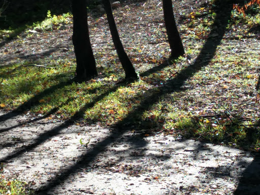 Park «Turtle Creek Parkway Park», reviews and photos, Bowen St, Dallas, TX 75219, USA