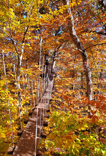 Tourist Attraction «ZipZone Canopy Tours», reviews and photos, 7925 N High St, Columbus, OH 43235, USA