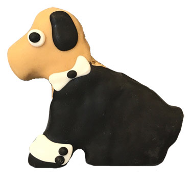 Pet Supply Store «Pets Naturally», reviews and photos, 1420 W South Airport Rd, Traverse City, MI 49686, USA