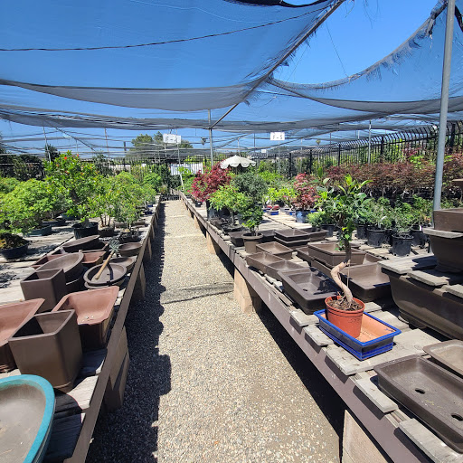 Plant Nursery «San Gabriel Nursery & Florist», reviews and photos, 632 S San Gabriel Blvd, San Gabriel, CA 91776, USA