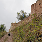 Photo n°36 de l'avis de Michael.e fait le 29/09/2020 à 10:39 sur le  Burgschänke Landeck à Klingenmünster