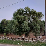 Photo n°19 de l'avis de Lukas.a fait le 13/08/2020 à 21:27 sur le  Hotel Del Levante à Torre Canne