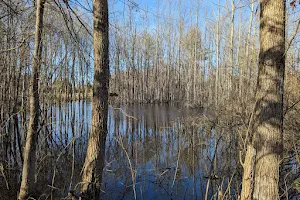 Bicycle Trail Glassboro/Williamstown image