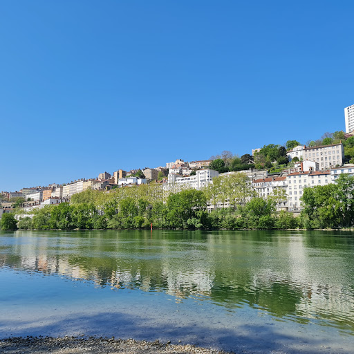 Bord du Rhône