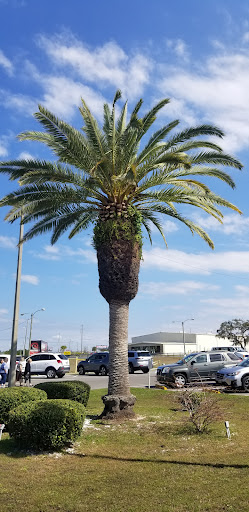 Dinner Theater «Show Palace Dinner Theatre», reviews and photos, 16128 US-19, Hudson, FL 34667, USA