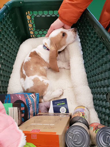 Pet Supply Store «Pet Supplies Plus», reviews and photos, 8717 Ridgeland Ave, Oak Lawn, IL 60453, USA