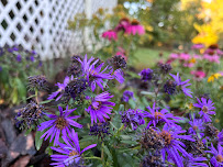 Ecoplantia - Photo 4 - Car repair in Frederick, MD, Frederick