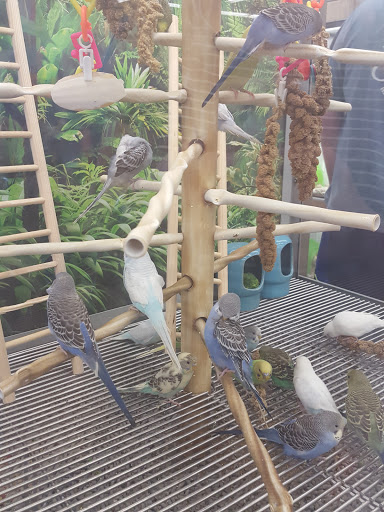 Pet Supply Store «Petco Animal Supplies», reviews and photos, 1680 Campbell Ln, Bowling Green, KY 42104, USA