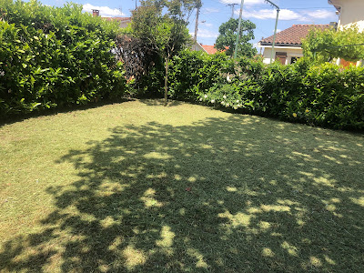 "JEVO" Jardins Espaces Verts Occitans à Eaunes