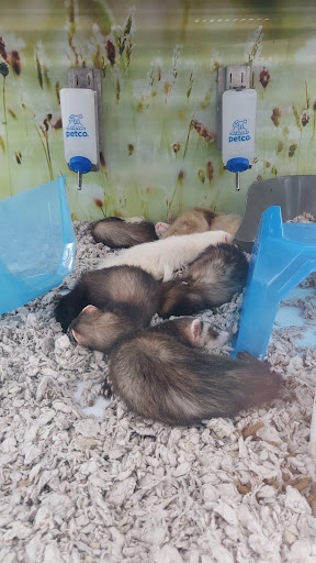 Pet Supply Store «Petco Animal Supplies», reviews and photos, 14051 Aldrich Ave S, Burnsville, MN 55337, USA