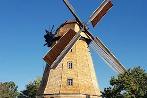 Britzer Mühle, Windmühle image