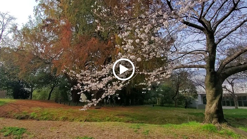 花博記念ホール裏庭園