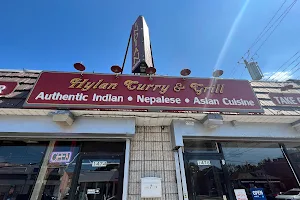 Hylan Curry & Grill image