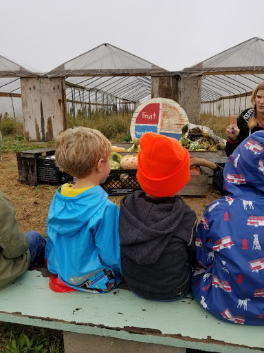 Produce Market «Solly Brothers», reviews and photos, 707 Almshouse Rd, Warminster, PA 18974, USA