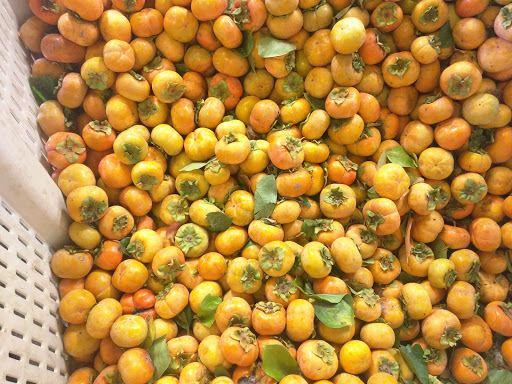 Non-Profit Organization «Sacramento Habitat For Humanity», reviews and photos, 819 N 10th St, Sacramento, CA 95811, USA