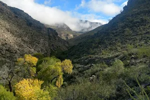 Oliver Lee Memorial State Park image