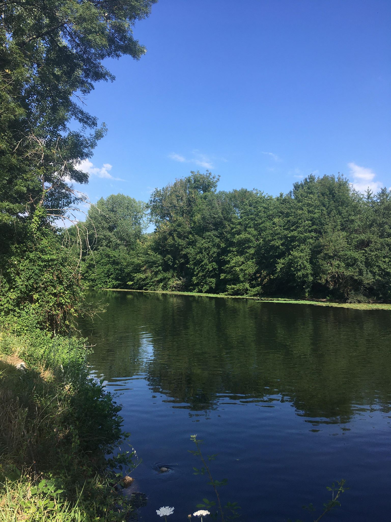 Photo n° 3 de l'avis de Léa.a fait le 05/08/2020 à 15:34