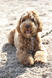 Hobdy Photography - Photo 7 - Car repair in , Baton Rouge