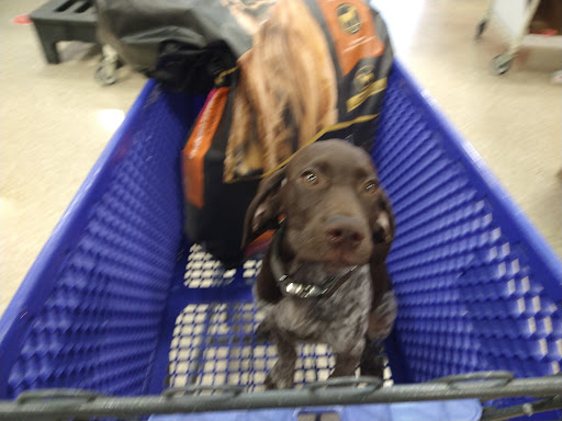 Pet Supply Store «PetSmart», reviews and photos, 2500 Posner Blvd, Davenport, FL 33837, USA