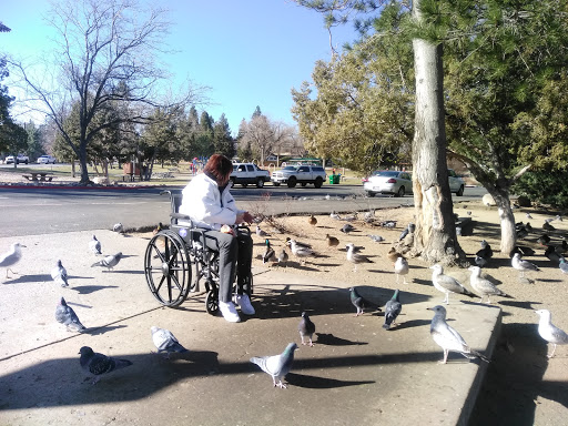 Nature Preserve «Virginia Lake», reviews and photos, 1980 Lakeside Dr, Reno, NV 89509, USA