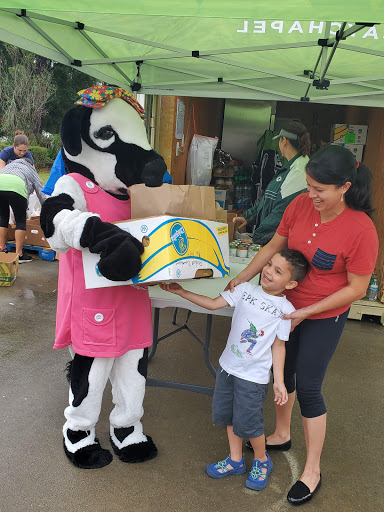 Auto Repair Shop «Christian Brothers Automotive New Tampa», reviews and photos, 20303 Trout Creek Dr, Tampa, FL 33647, USA