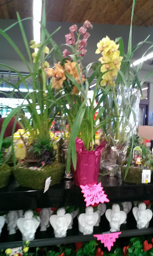 Grocery Store «Claiborne Hill Supermarket», reviews and photos, 2308 US-11, Picayune, MS 39466, USA