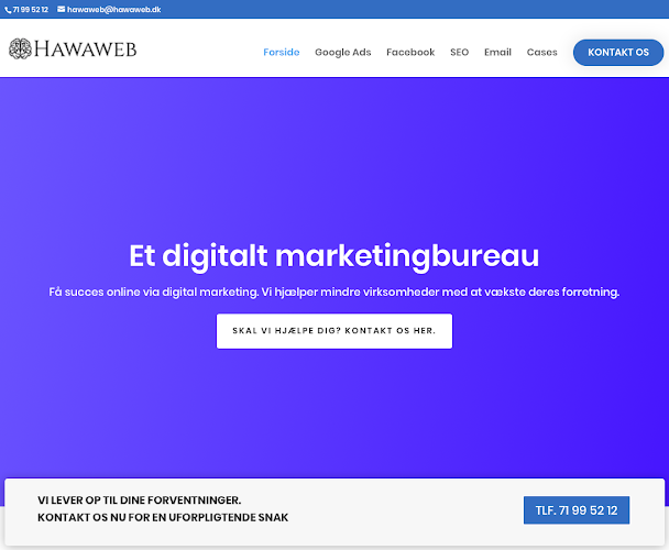 Anmeldelser af Hawaweb i Ringe - Reklamebureau
