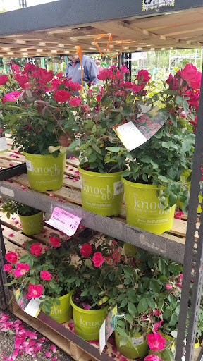 Home Improvement Store «Menards», reviews and photos, 6401 Grand Ave, Gurnee, IL 60031, USA