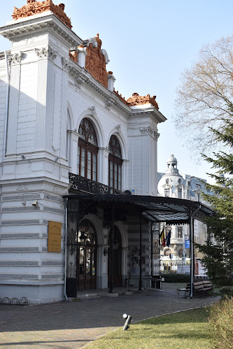 Muzeul Municipiului București - Palatul Suțu - Muzeu
