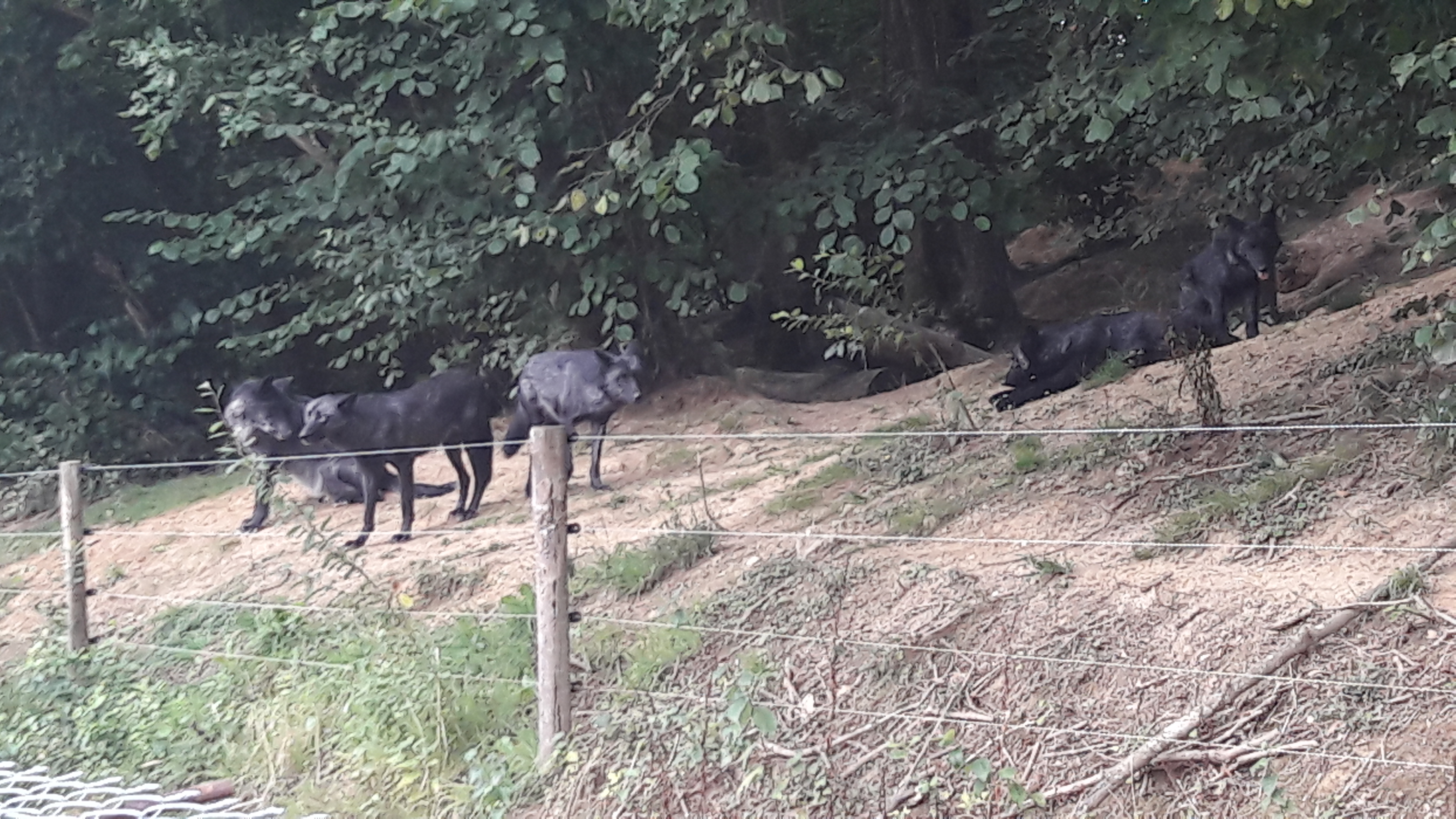 Photo n° 2 de l'avis de Michel.e fait le 19/08/2018 à 11:29